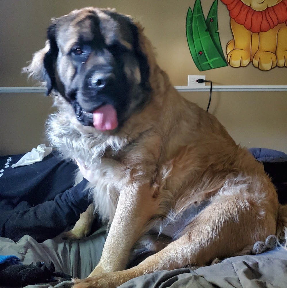 Meet your Posher, Tracey